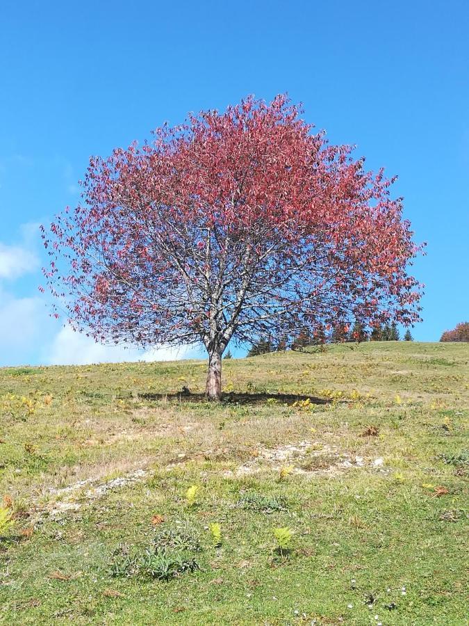 Rateče Zbogar 아파트 외부 사진